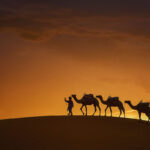 Camel Ride photo by Colorful Destinations India