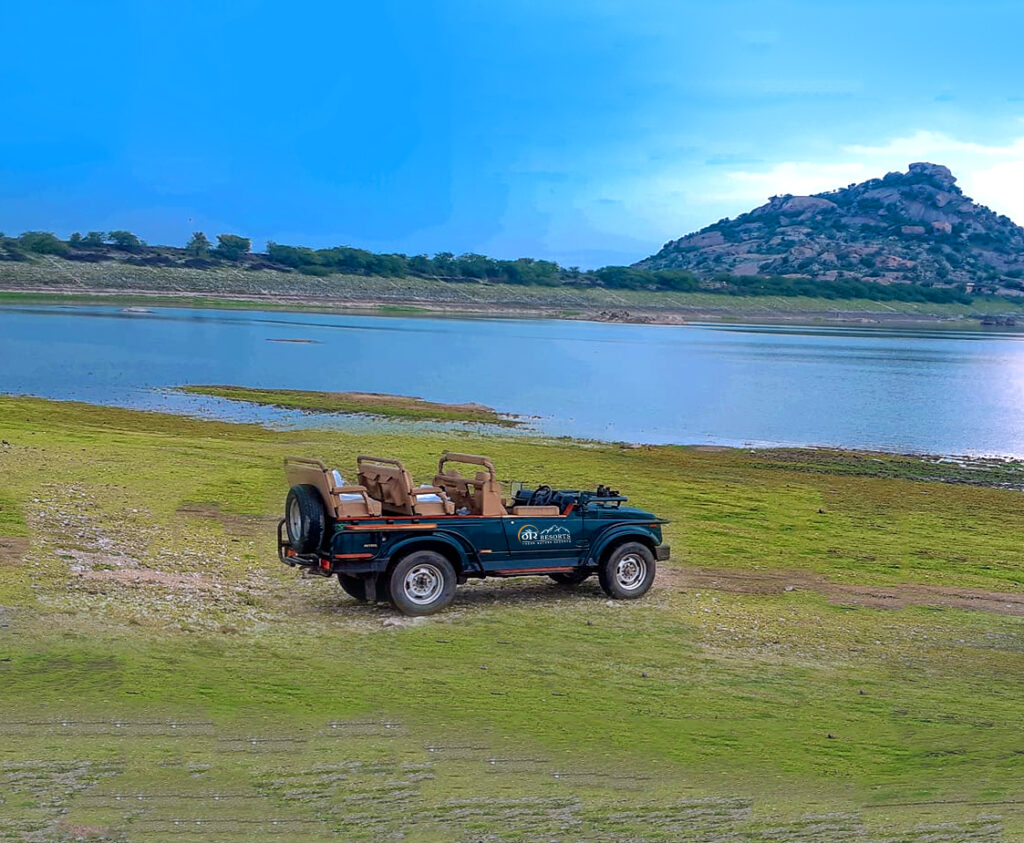 Unexplored Rajasthan Activities Local Life