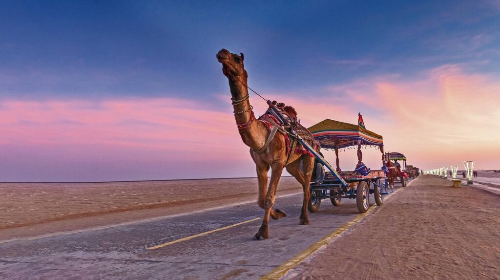 Hidden Gems India: 10 Lesser, How to Tour Rajasthan: The Ultimate Guide to India’s Royal State